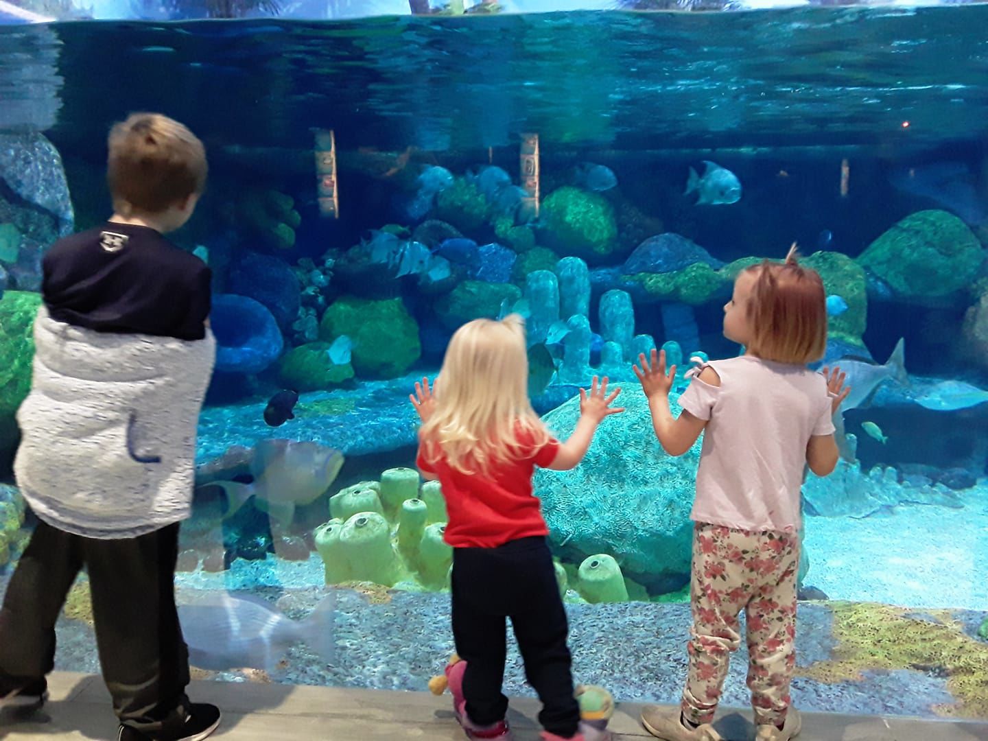 Aquarium